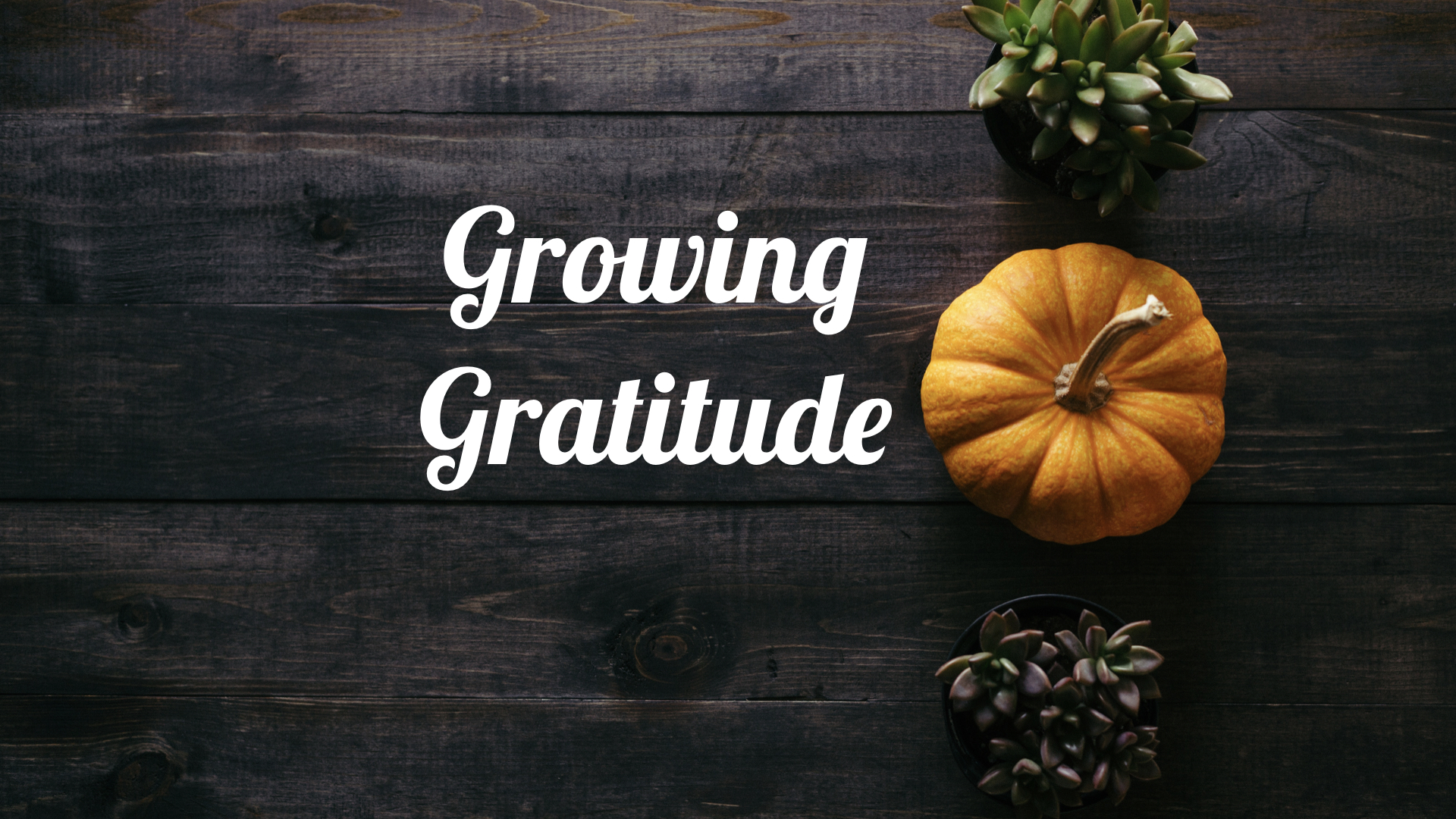 Growing Gratitude | living gratefully with my possessions