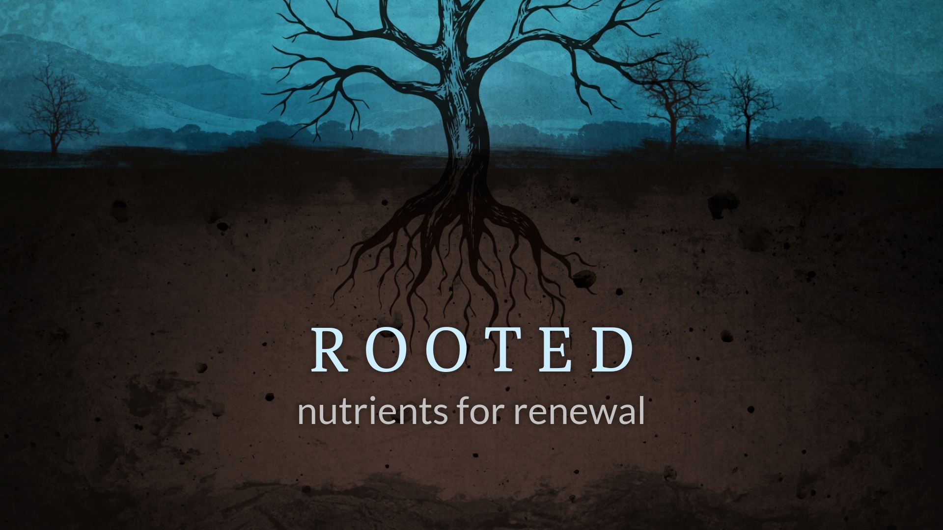 Rooted – Abiding